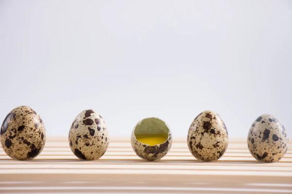 “動物人參”比雞蛋更補人！這樣吃健腦、潤肺、護肝腎，補足全身營養