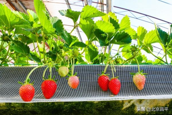 2021好幸運，和你在昌平走過春夏秋冬