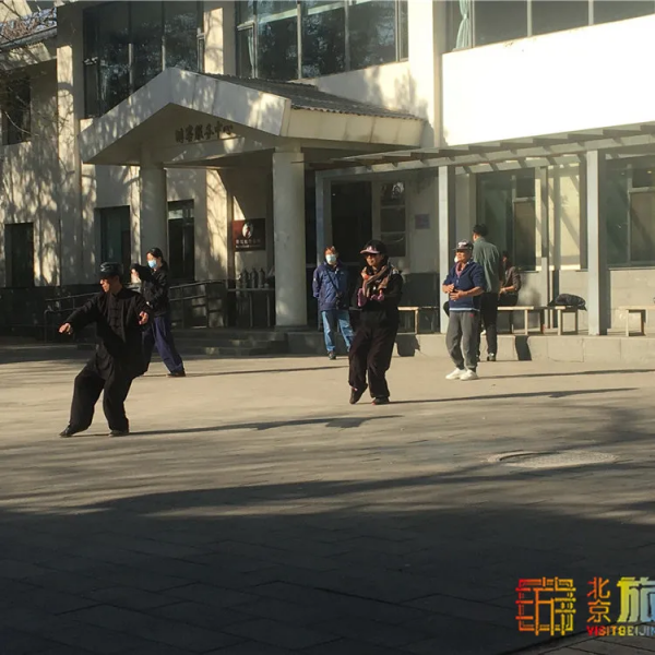 唯美浪漫！京城這個公園的水杉還紅著，錯過等明年~【送年票】