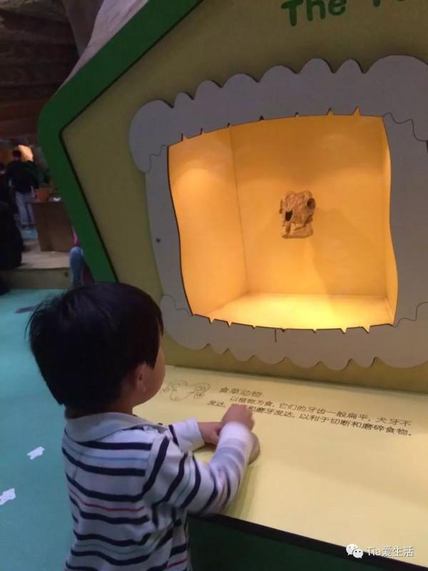 北京親子游-之三 北京親子游-之三