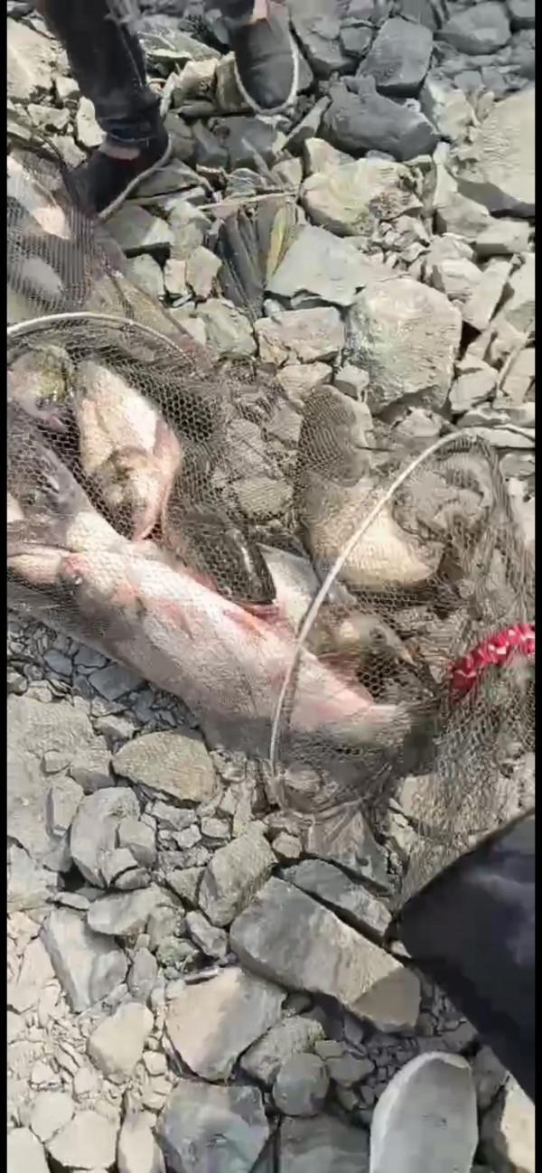 與光威同行 與光威同行