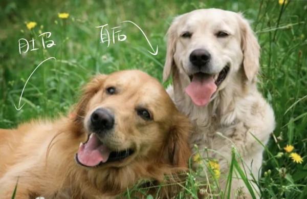 【衛生檢疫】草爬子的自述