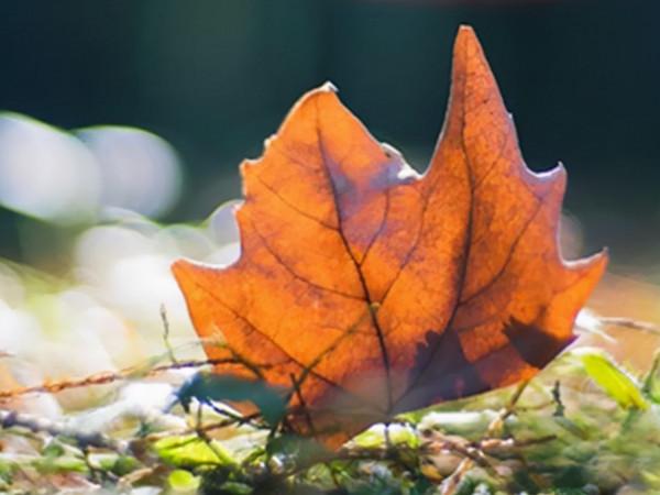 天生善良,但又有傲氣的星座,能對一個人很好,也會很決絕 天生善良,但又有傲氣的星座,能對一個人很好,也會很決絕