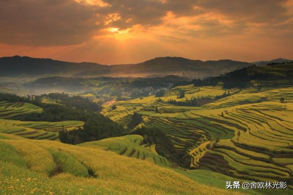 羅平馬街，一個把田地種成了風景畫的地方，山區賞花正當時哦