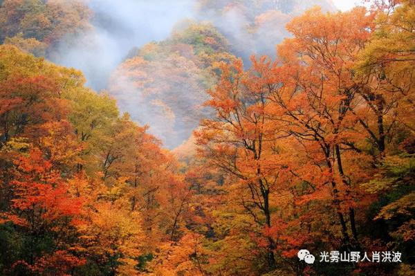 四川第三期紅葉觀賞指數釋出!不出家門,帶你雲遊這些動人風景 四川第三期紅葉觀賞指數釋出!不出家門,帶你雲遊這些動人風景