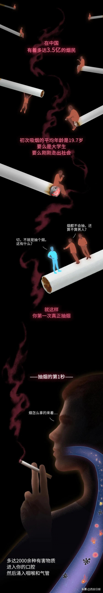 抽菸30年，你的肺都經歷了什麼