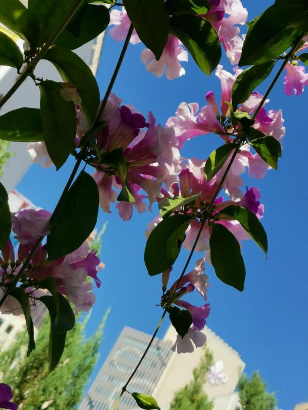 像當地人那樣，我在公園裡坐了半天