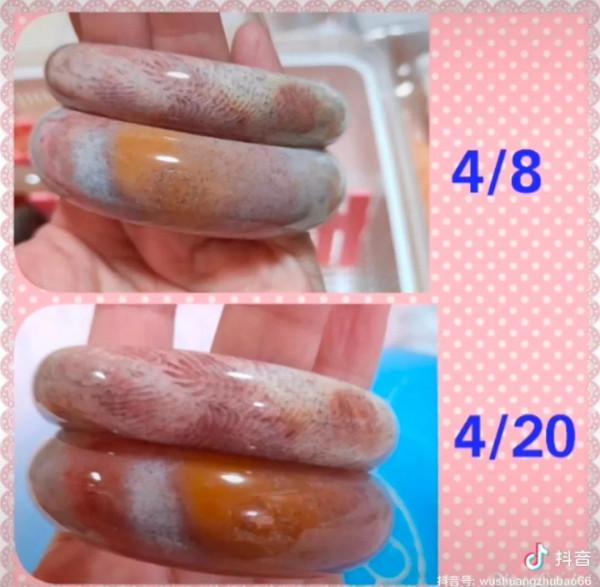 珊瑚玉養過後會發生什麼變化? 珊瑚玉養過後會發生什麼變化?