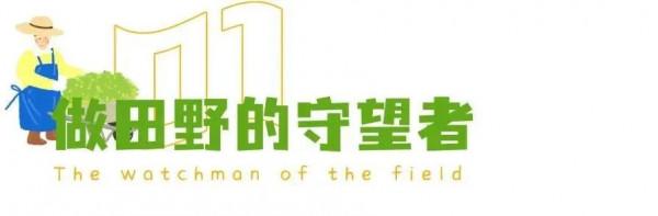 自在寧國丨賞春景、踏青趣，ALPS森林小鎮陪你玩轉整個春天！