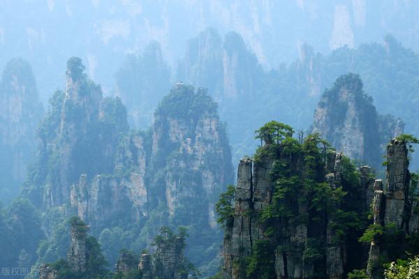 《生命緣》:三胞胎命懸一線,父親舉動令人淚目,最終結局如何? 《生命緣》:三胞胎命懸一線,父親舉動令人淚目,最終結局如何?