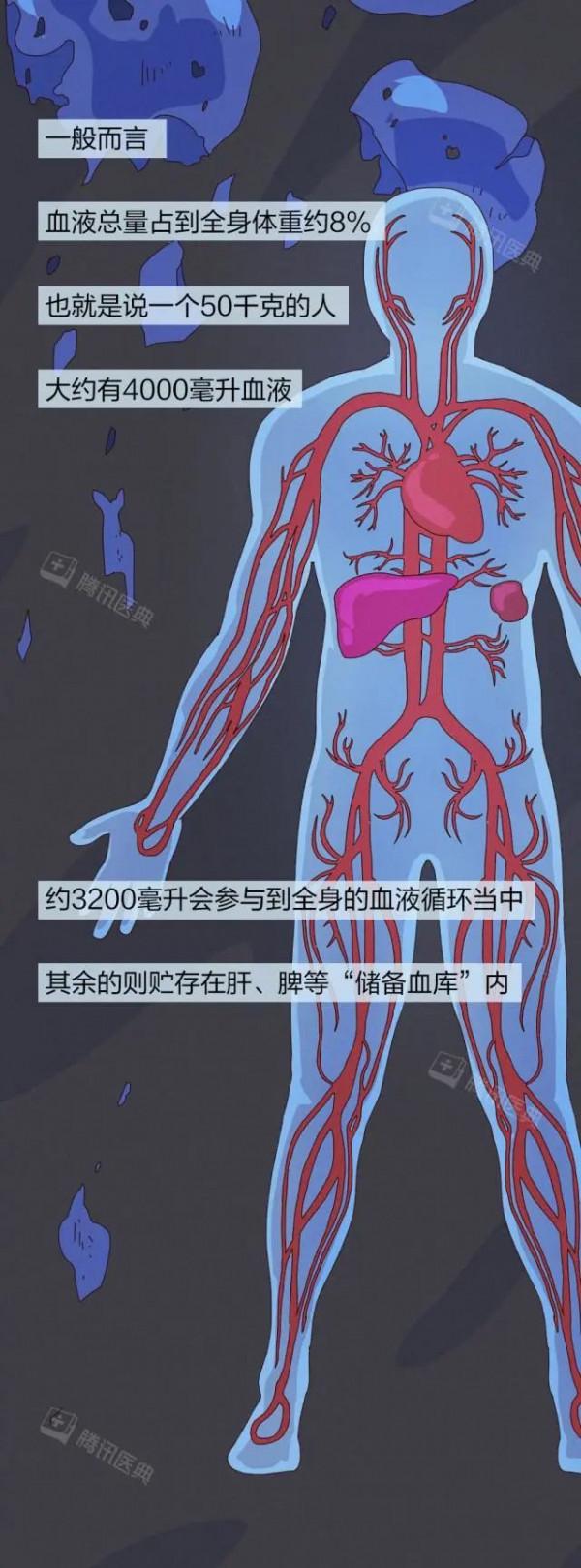 用漫畫告訴你：人止不住的大出血，到底有多可怕？