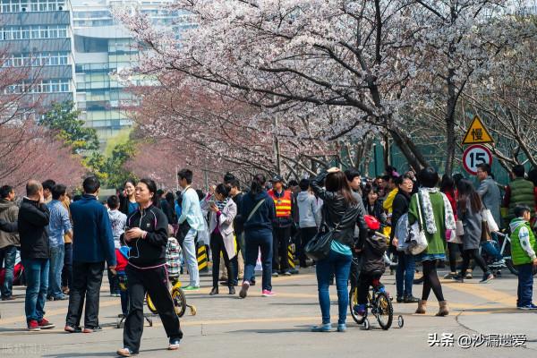 同濟大學:對不起,西安交大,我的土建不是夕陽專業 同濟大學:對不起,西安交大,我的土建不是夕陽專業