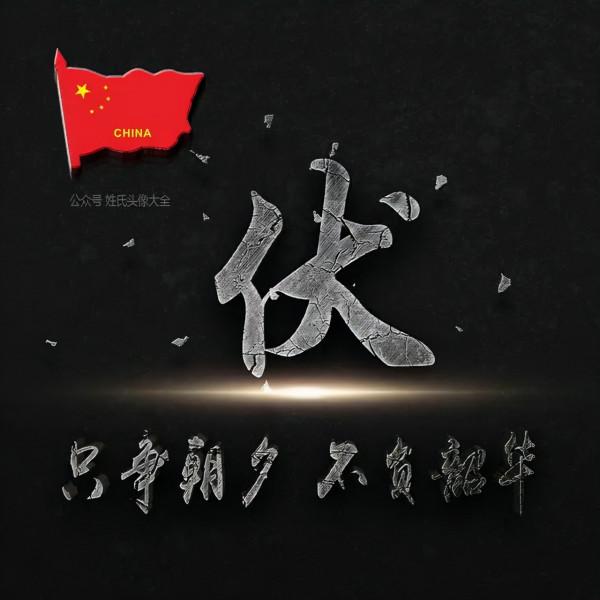 200張正能量姓氏頭像，張張精品，只爭朝夕 不負韶華