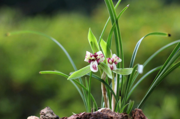 人過五十：不必維繫以下幾種費力的關係