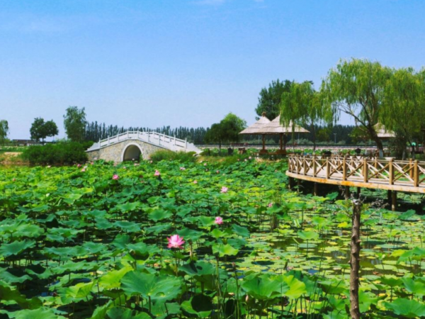 北京一“國家級公園”，入園需要提前3天預約，每年僅開放7個月