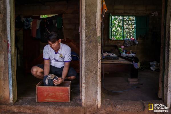 溫順的樹懶是如何成為&OpenCurlyDoubleQuote;明星寵物&rdquo;的？