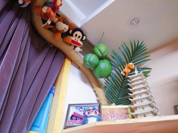 把空調櫃機換成掛機後,我“賺”到了一塊價值百萬的“生態寶地” 把空調櫃機換成掛機後,我“賺”到了一塊價值百萬的“生態寶地”