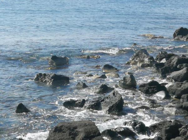 湯加火山爆發後，周邊海域現怪事，中國衛星發現，石頭浮在海面上