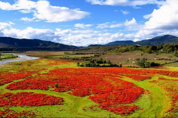 11月，國內這9個絕美山水之地，美成了一幅畫！隨手一拍都是桌布