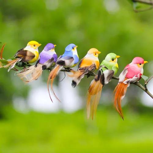 分享：全世界稀有色彩斑斕的鳥兒，太漂亮了