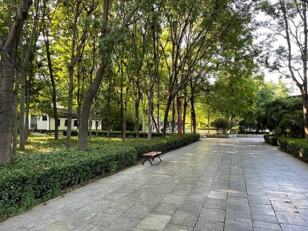 回望二十年——濟寧，兗州