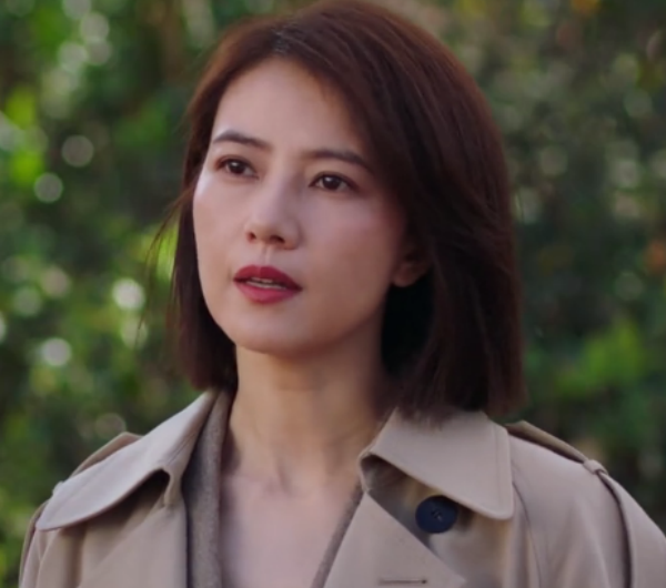 《完美伴侶》四大女神，高圓圓還是那麼美，但最有氣場的是鄔君梅