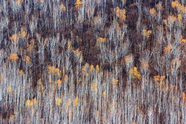 一省一秋!各省秋色“當紅”代言人,你的家鄉上榜了嗎? 一省一秋!各省秋色“當紅”代言人,你的家鄉上榜了嗎?