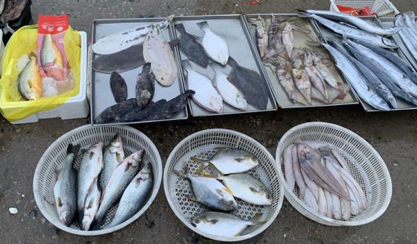 懂行人買魚，專挑這3種海魚，目前無法人工養殖，全是純野生