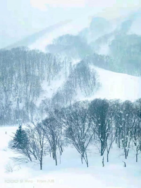 去北海道 | 帶著iQOO 9 Pro 外滑半個月，愛上二世古