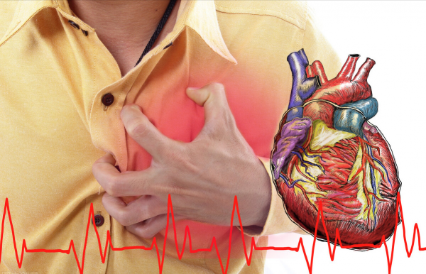 2個成藥，益氣溫腎強心、利水消腫、抑制心臟擴大，抗冠心病心衰