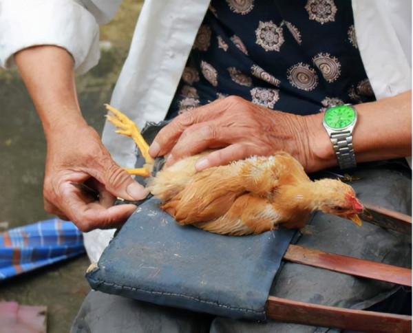 農村基本已經消失的6種“職業”，每個都是技術活，滿滿的回憶