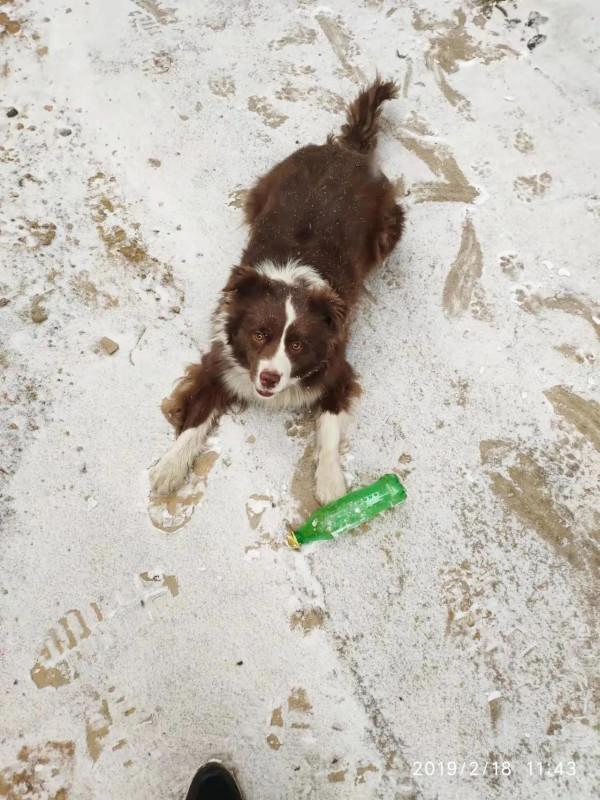 米莎，真的相忘於江湖嗎？