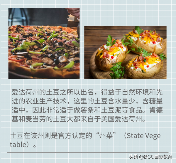 美國50個州的吃喝玩樂攻略請收好！留學生、遊客自駕遊跟團遊必看