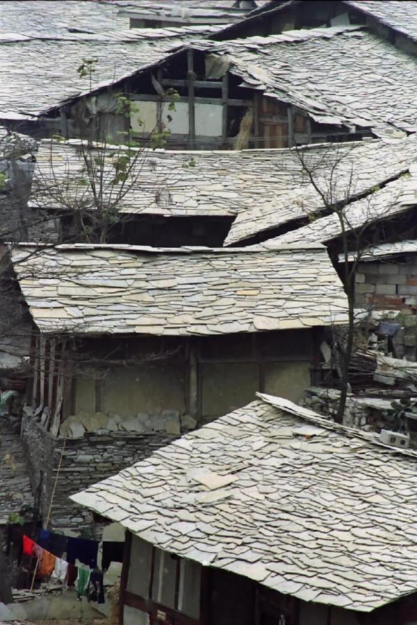 讀《皮囊》：不知何處雨，已覺此間涼