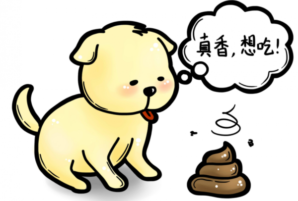 狗狗寫給主人的一封信:我患有異食癖了,你沒留意到嗎 狗狗寫給主人的一封信:我患有異食癖了,你沒留意到嗎