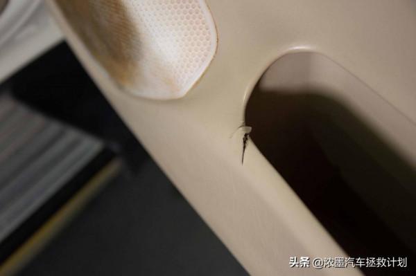 「縱橫四海」老夥計的重生之旅，一起暫別城市的方圓化身曠野的風