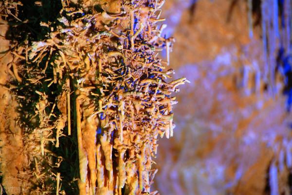 天下第一洞——芙蓉洞,中國列入世界自然遺產唯一的洞穴 天下第一洞——芙蓉洞,中國列入世界自然遺產唯一的洞穴