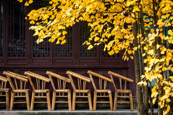 為什麼全國都愛四川的秋天! 為什麼全國都愛四川的秋天!