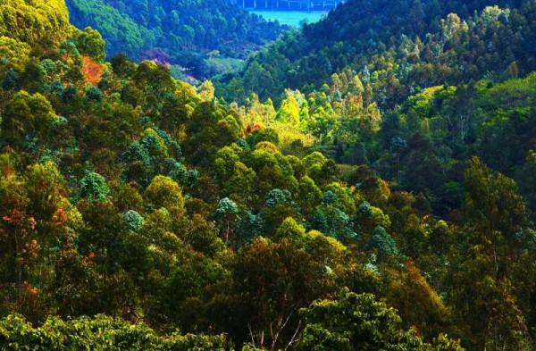 G101國道北京-瀋陽