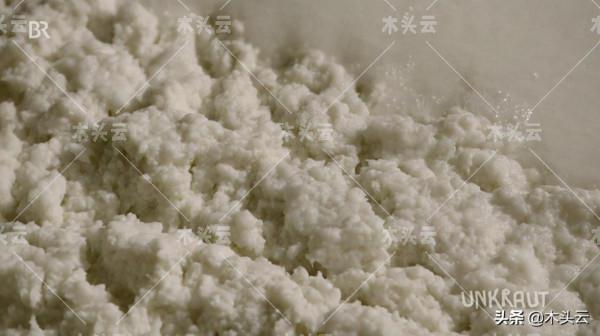 大麻造紙？為緩解木材短缺德國公司嘗試新路