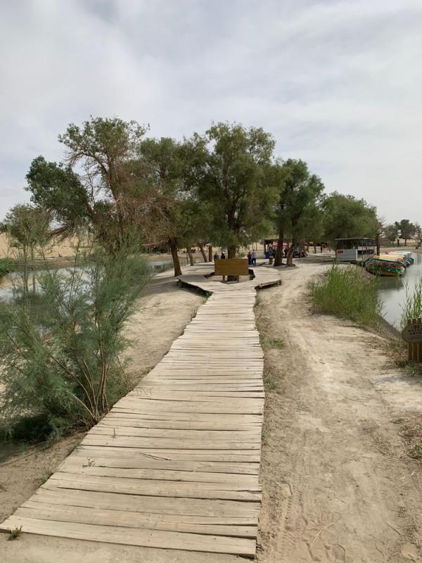 大美新疆（十）羅布人村