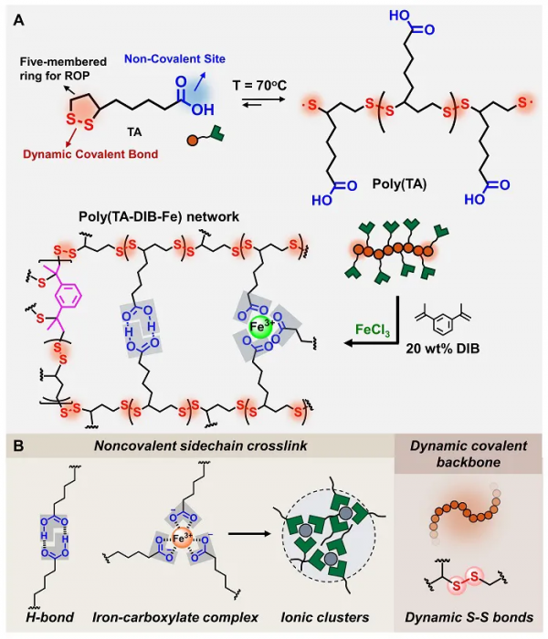 JACS觀點文章:動態共價二硫可逆聚合的材料應用 JACS觀點文章:動態共價二硫可逆聚合的材料應用