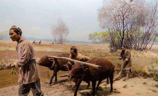 動物能“成精”嗎?1997年黃鼠狼“討封”事件,究竟是不是真的? 動物能“成精”嗎?1997年黃鼠狼“討封”事件,究竟是不是真的?