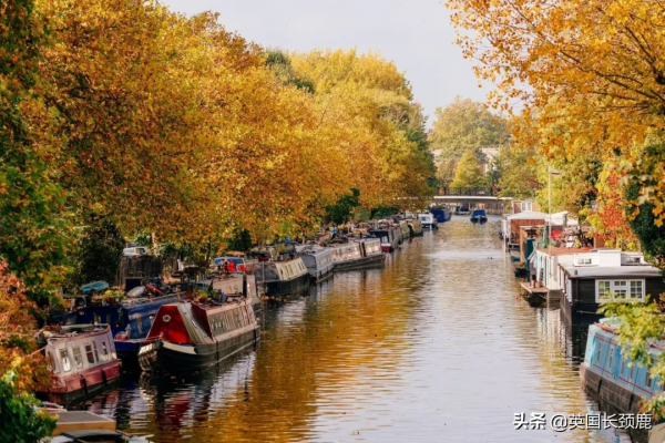 你還記得深秋英國的樣子嗎?若你還在,與你共享 你還記得深秋英國的樣子嗎?若你還在,與你共享