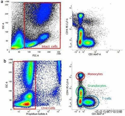 流式中八大常見對照的作用