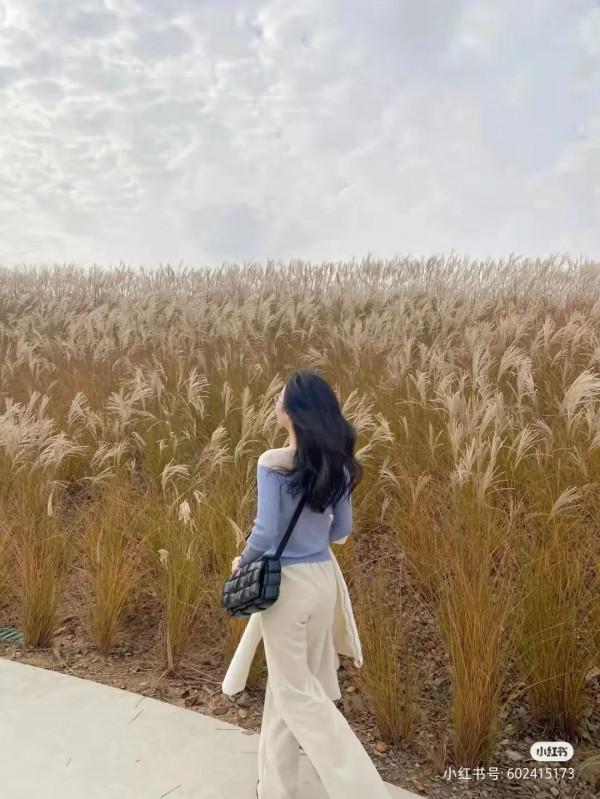 蘆葦搖，花絮飄！快來拍美美的冬季浪漫大片吧！