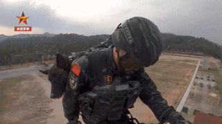 軍犬5000米高空跳傘，一臉淡定，網友：這是哮天犬吧