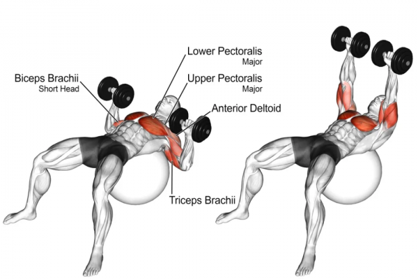 「耀&bull;健身」練遍全身，你只差一對啞鈴