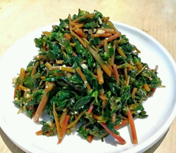 9種常見的野菜，比青菜還好吃，解膩又養人，看見別錯過