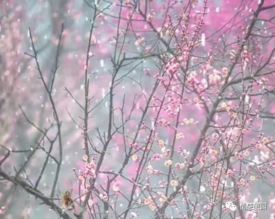 讀書筆記:(五) 讀書筆記:(五)